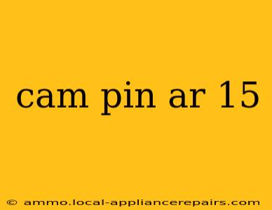 cam pin ar 15