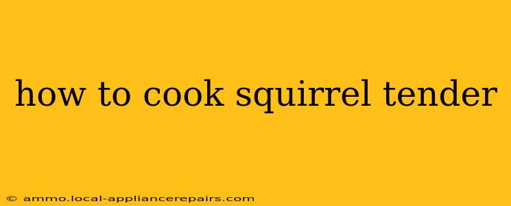 how to cook squirrel tender