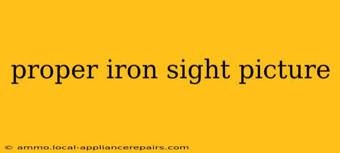 proper iron sight picture