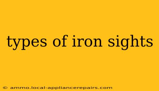 types of iron sights