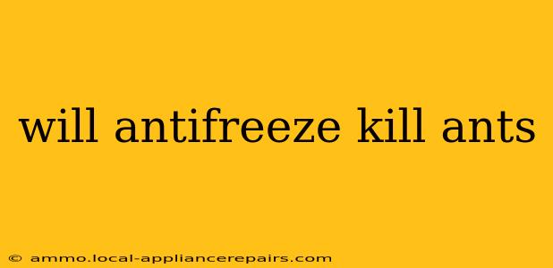 will antifreeze kill ants